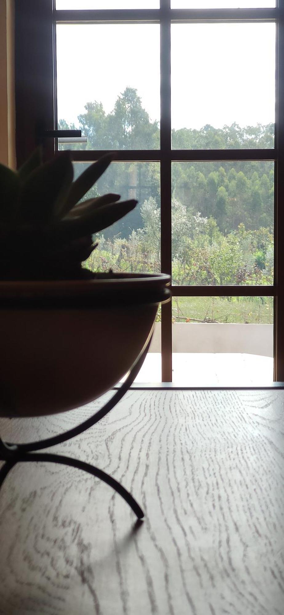 Casa Do Vo Sousa Pombal  Dış mekan fotoğraf